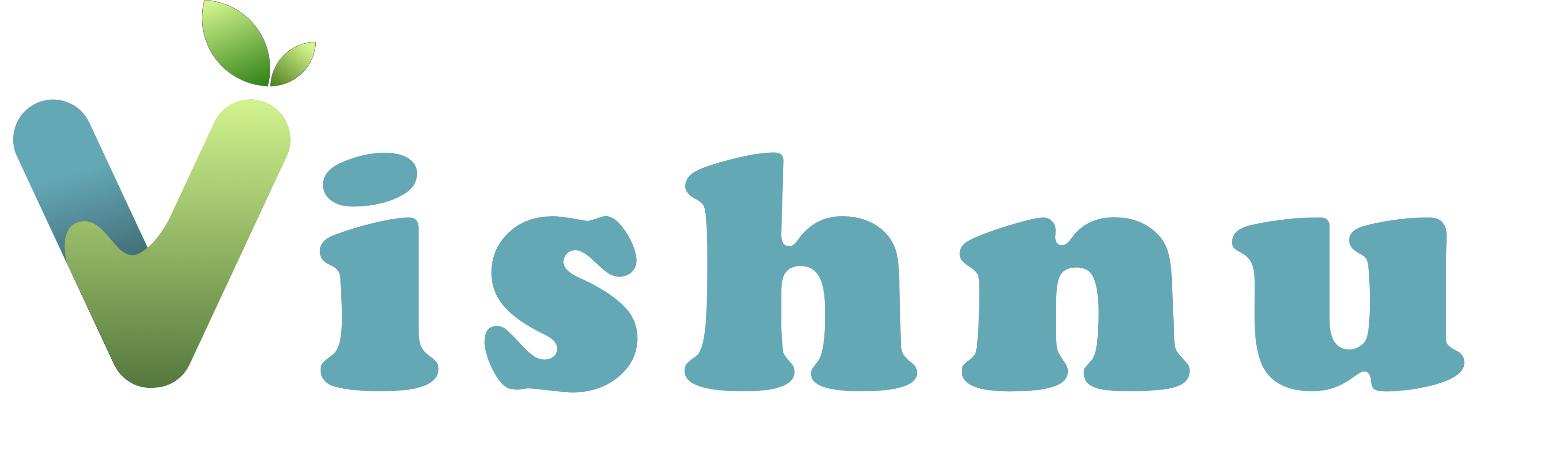 Logo Vishnu